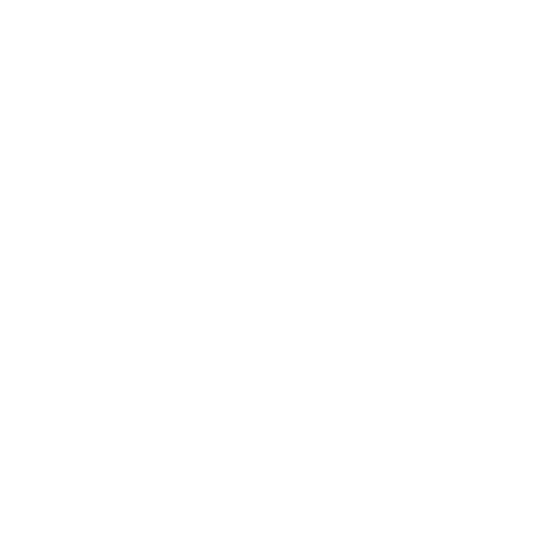 NSF OIG